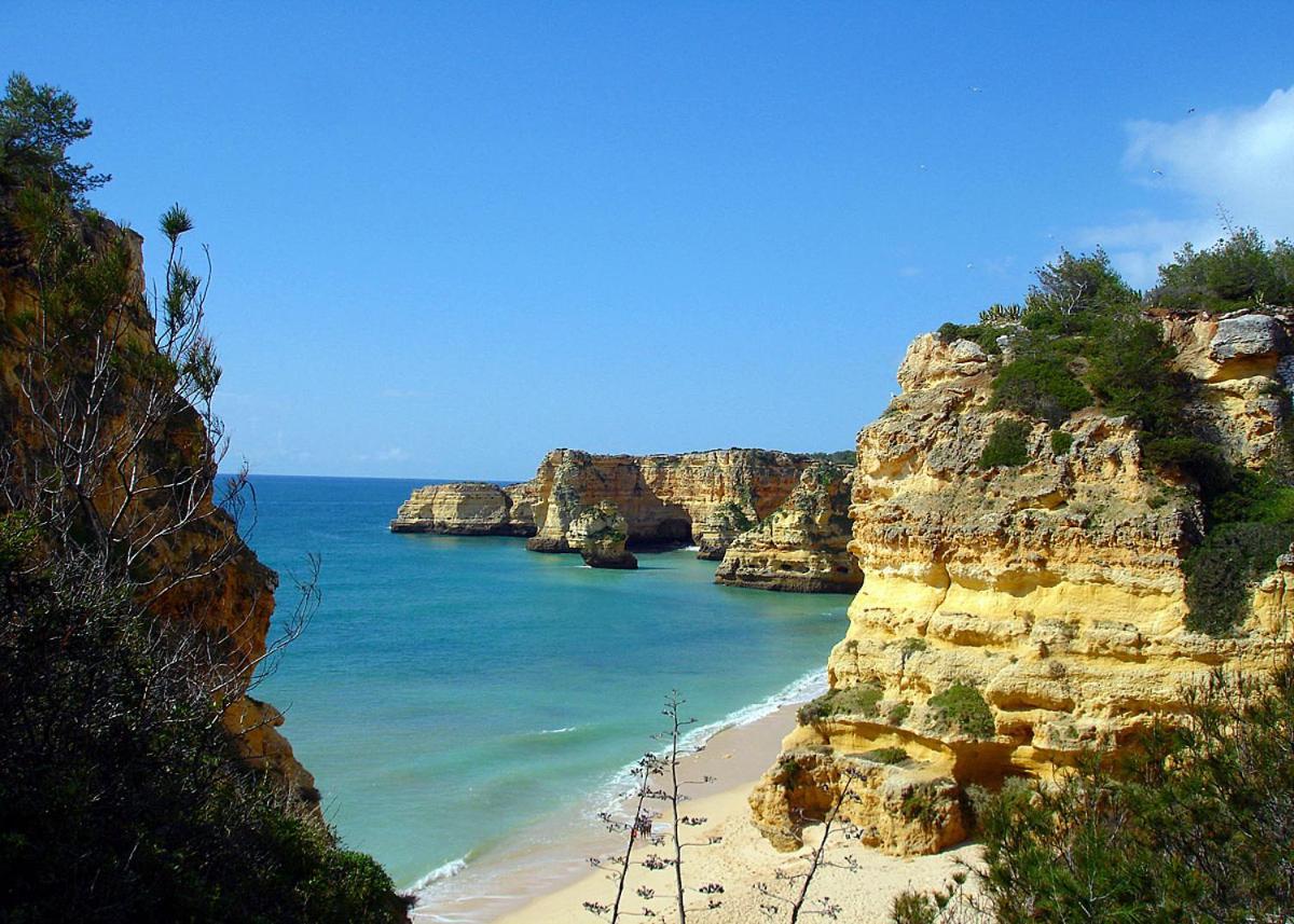 Casa Ouricos Large Pool Bbq Walk To Beach Carvoeiro  Bagian luar foto